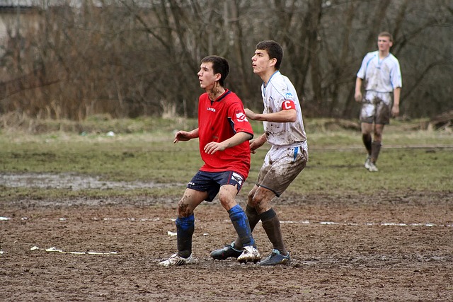 无疑为他赢 无疑为他赢