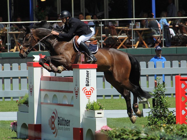 雷霆本赛季 雷霆本赛季