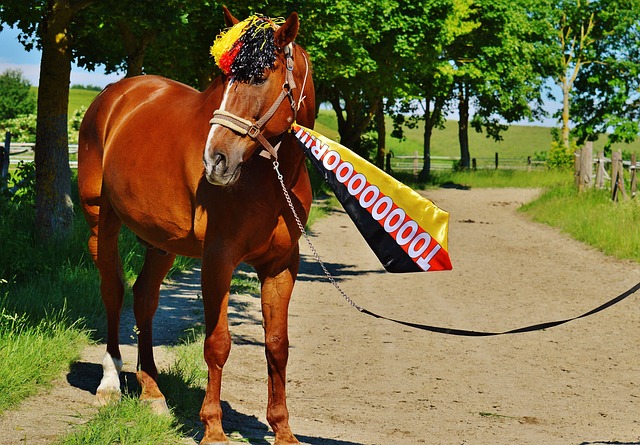 一张合影，如何展示出“体育改变世界的力量”？.