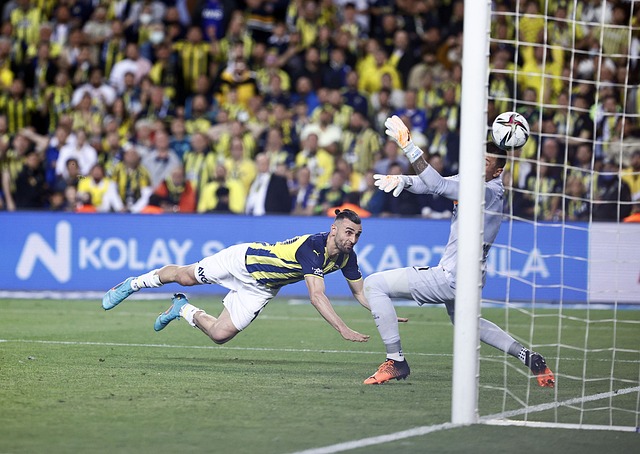 的蹴鞠用品 的蹴鞠用品