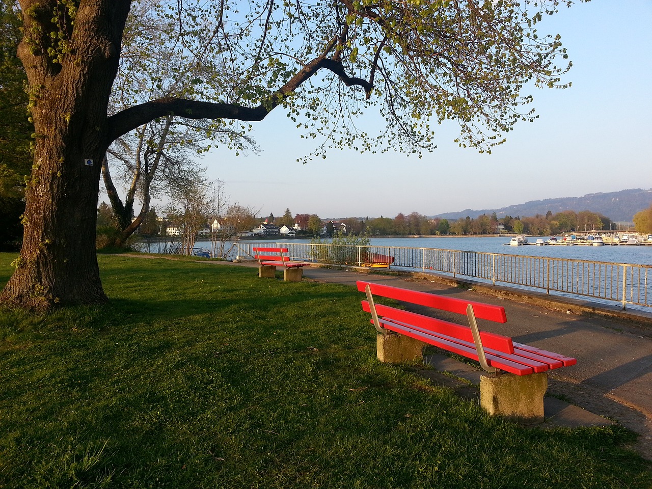 屡次贡献关 屡次贡献关