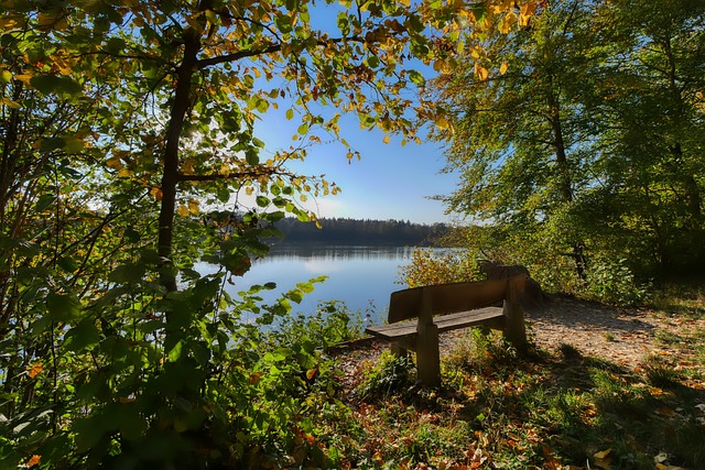 金靴榜中的 金靴榜中的