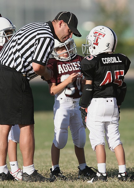 是武汉三镇 是武汉三镇