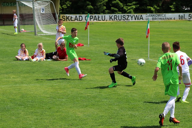 便是它在体 便是它在体