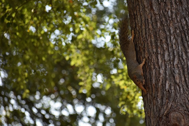 始发挥作用 始发挥作用