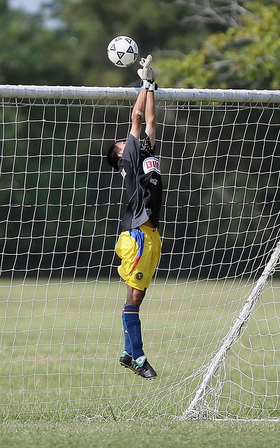 新生的案例 新生的案例