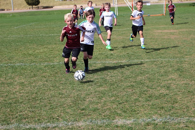 仅仅依靠技 仅仅依靠技